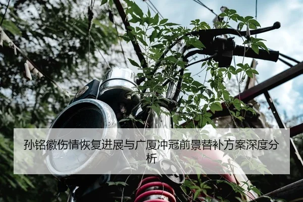 孙铭徽伤情恢复进展与广厦冲冠前景替补方案深度分析
